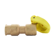 Load image into Gallery viewer, Rain Bird - 3RC - 3/4" Rubber Cover Coupling Valve