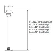 Load image into Gallery viewer, Unique - C4-12-20 - Area/Path Light with 4 in. Hat, Frosted Len