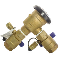 Load image into Gallery viewer, Wilkins - 34-720A - 3/4" PVB, Pressure Vacuum Breaker, Backflow Assembly, (Standard)
